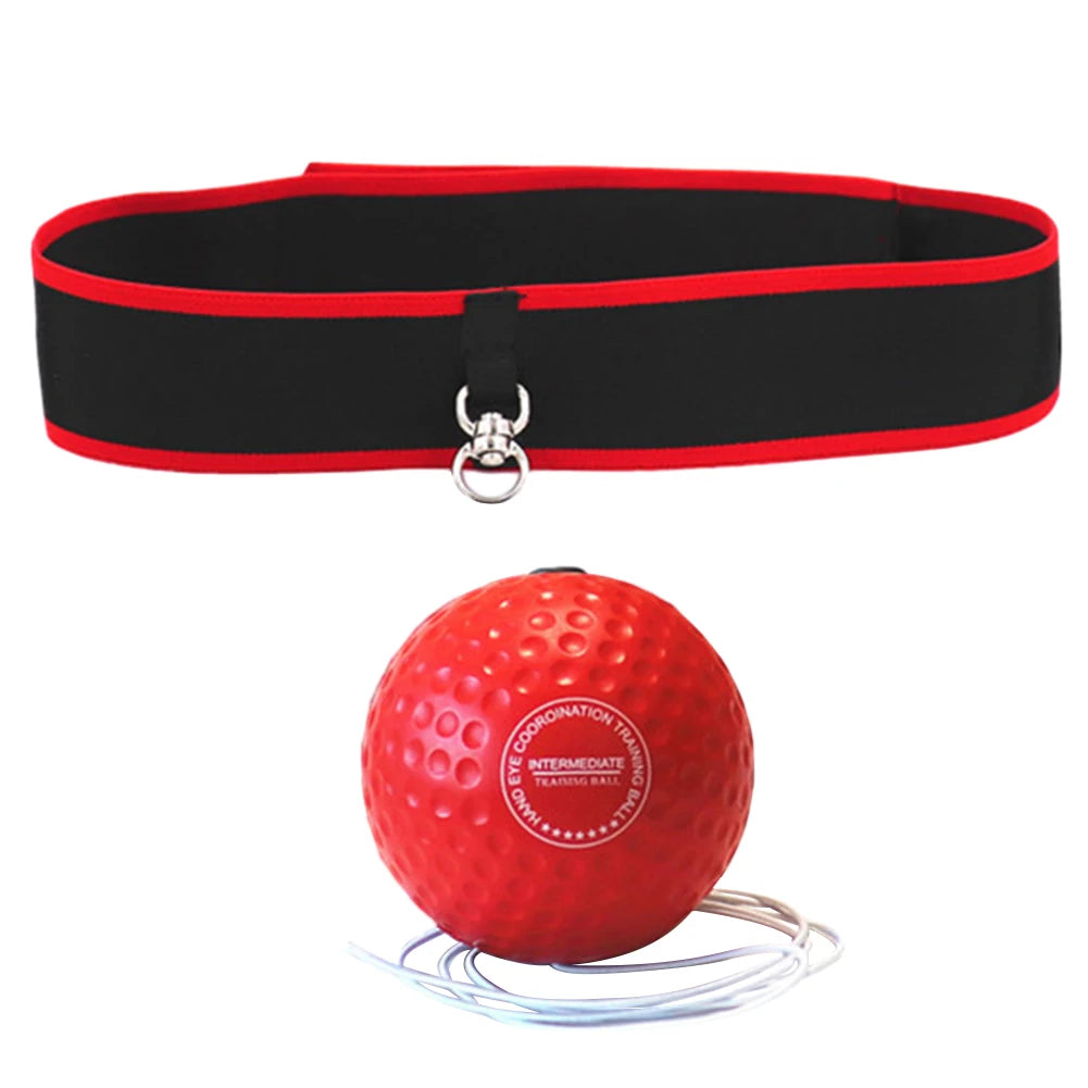 Boxing Training Ball
