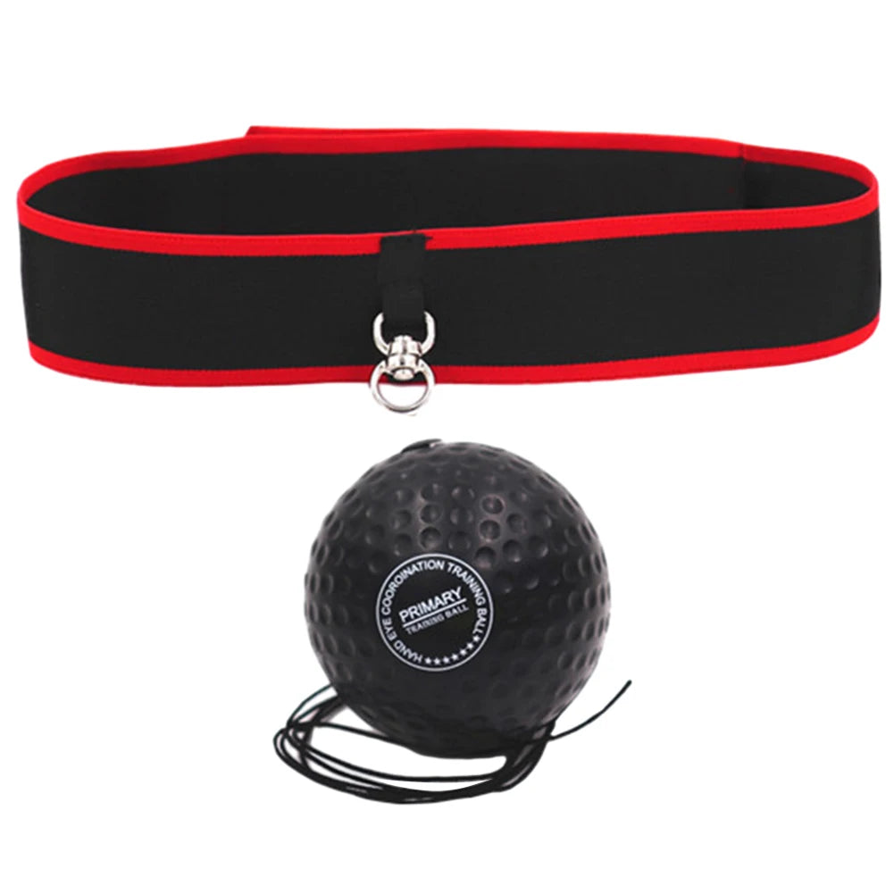 Boxing Training Ball